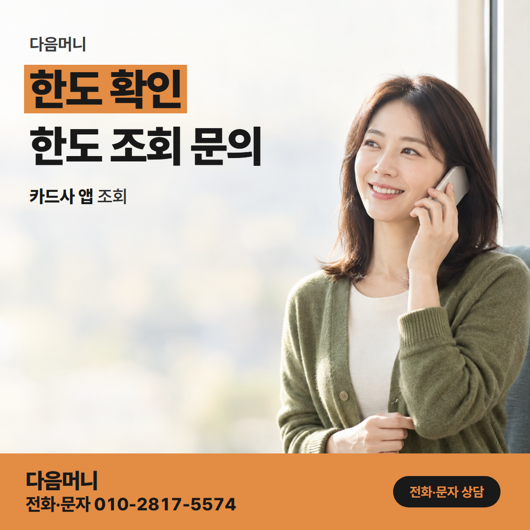 다음머니 국민카드현금화 할부 금액만큼 줄어든 남은 한도